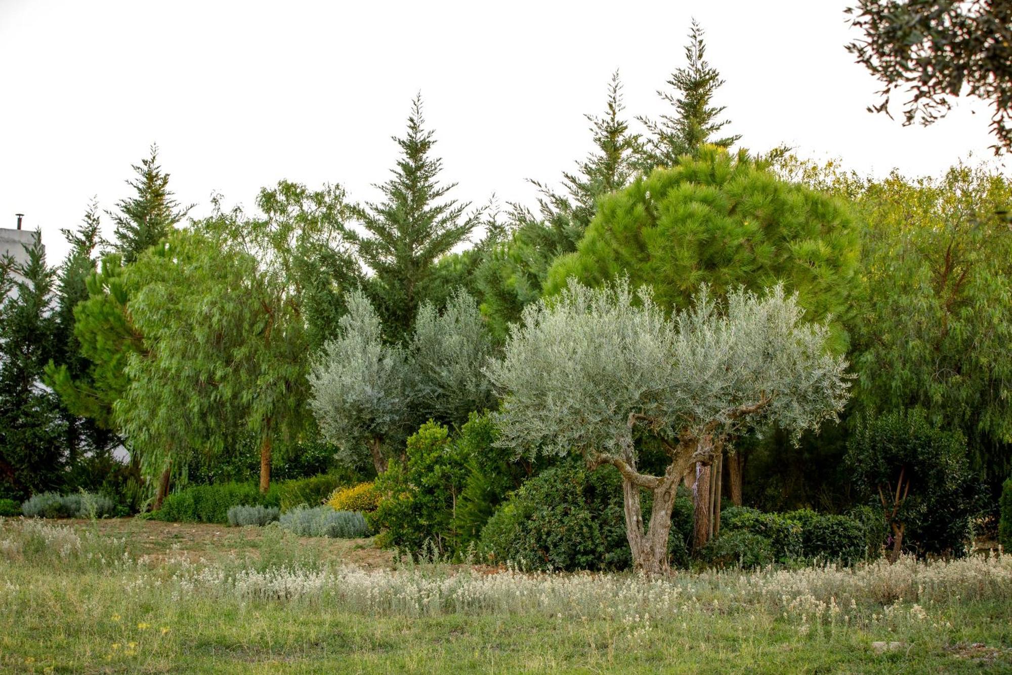 Villa Monte Da Hortinha Estremoz Exterior foto